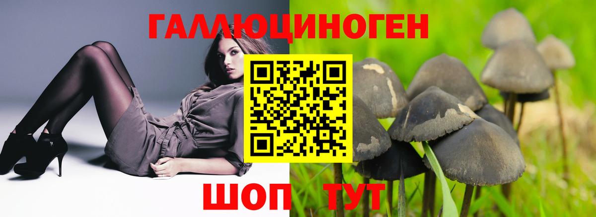Галлюциногенные грибы GOLDEN TEACHER  Вход с VPN  Черногорск  наркота  Псилоцибиновые грибы ЛСД 